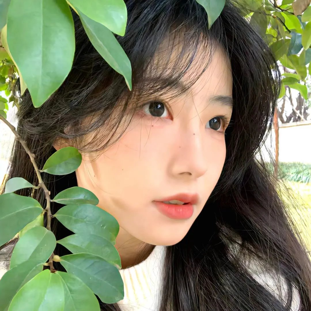受伤的小鹿
